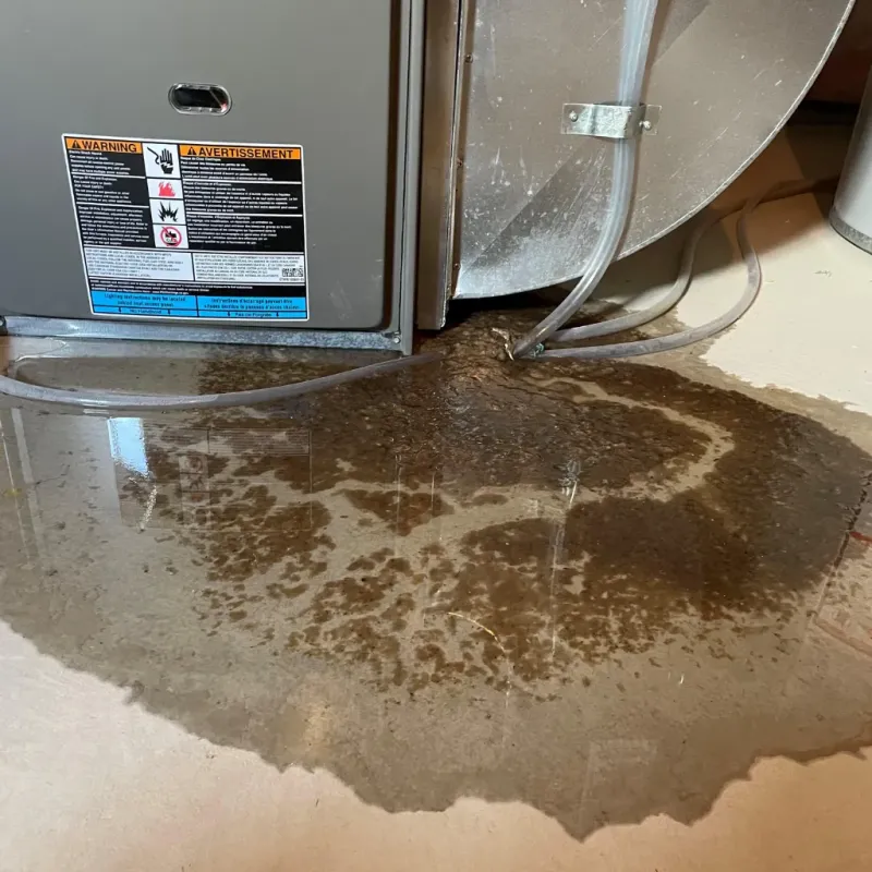 Appliance Leak Cleanup in Lanett, AL